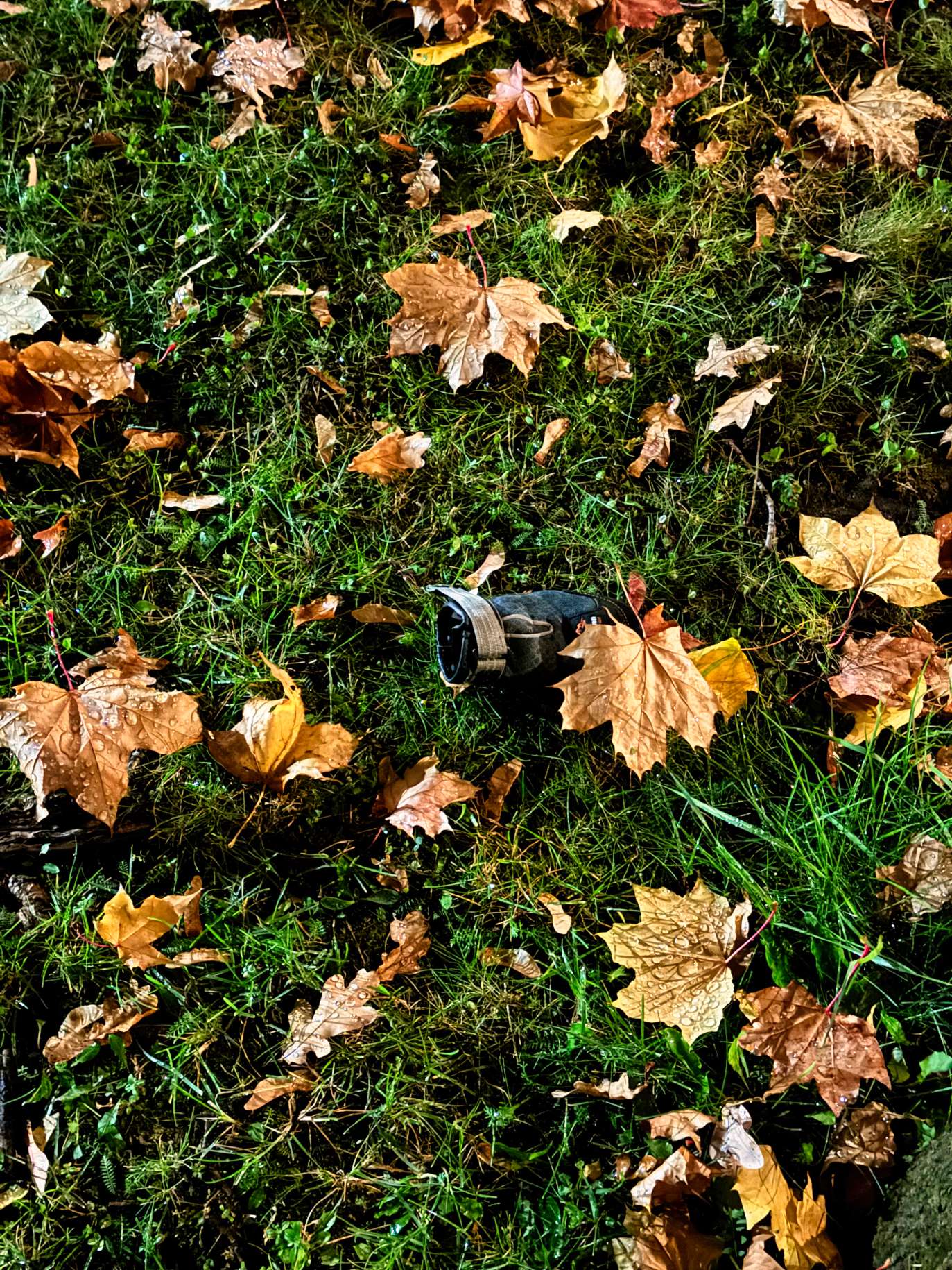 Schuh versteckt sich